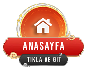 Anasayfa